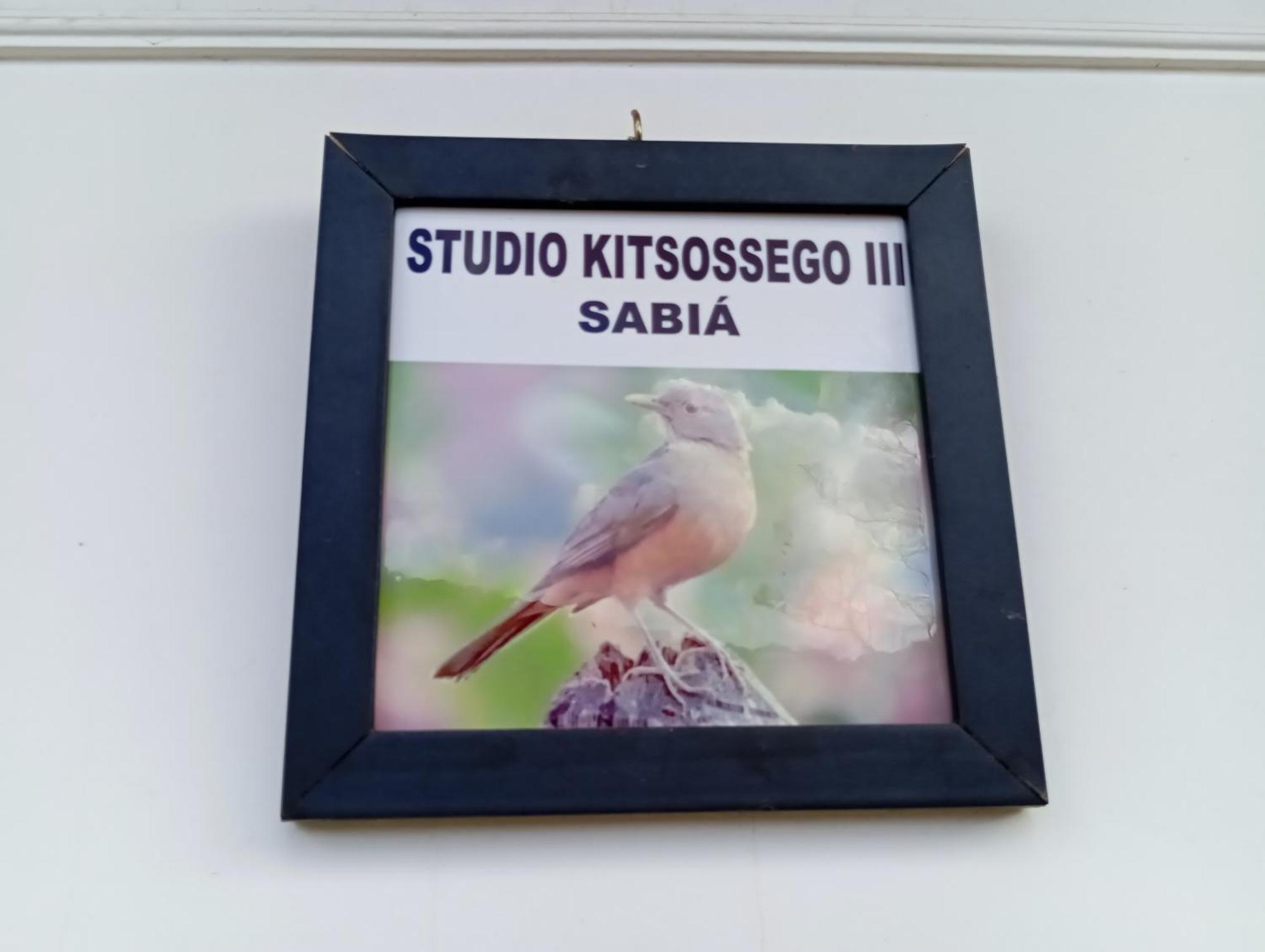 Studio Kitsossego Curitiba Kültér fotó